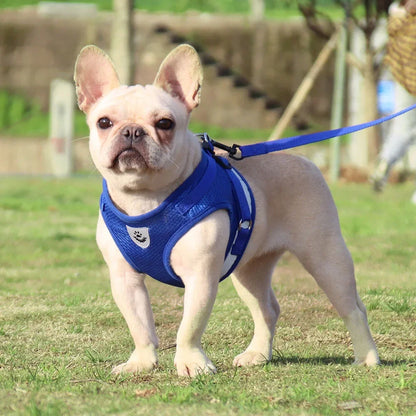 Adjustable Pet Harness and Leash Set for Dogs and Cats - Vest Harness with Lead and Collar Accessories