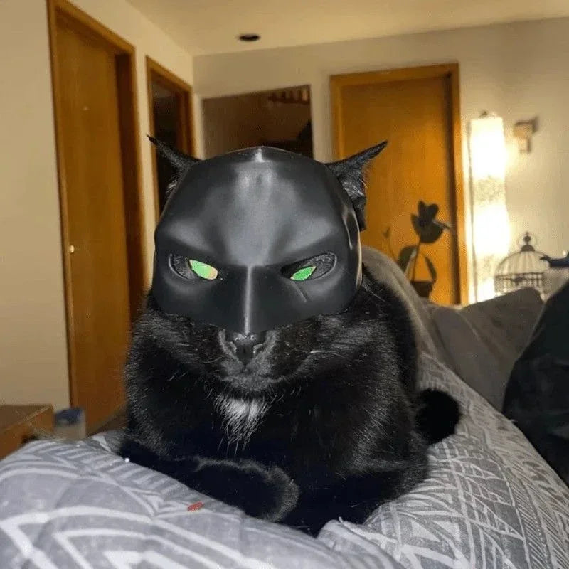 Cat Avenger Mask Bat Halloween 3D Printed Cosplay Hat Cat  Funny Toys Photos Props Pet Accessories
