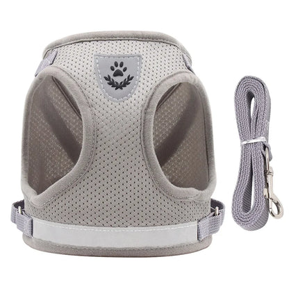 Adjustable Pet Harness and Leash Set for Dogs and Cats - Vest Harness with Lead and Collar Accessories